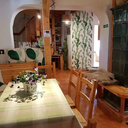 Kaktusz 4*