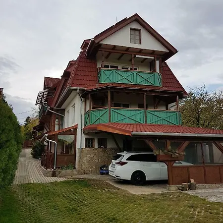 Kaktusz *