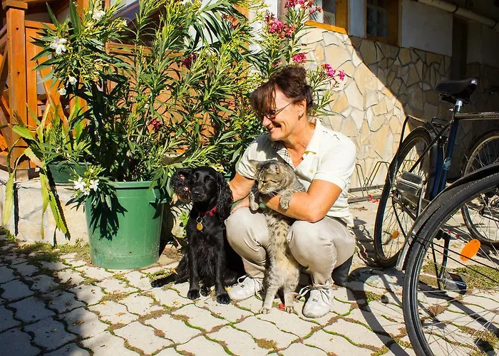 Kaktusz Pensionat