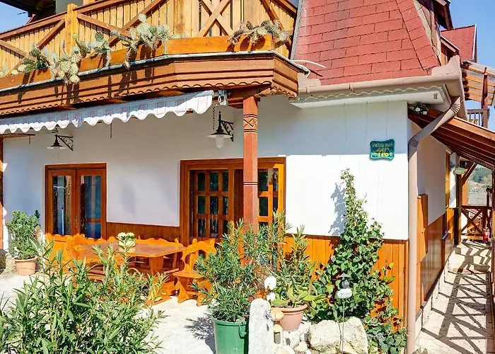 Kaktusz Pensionat