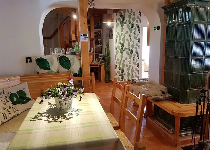 Kaktusz 4*